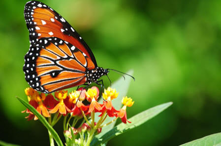 „a98576_6”