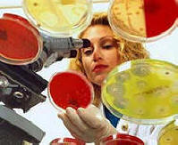 „Antybiotyki
