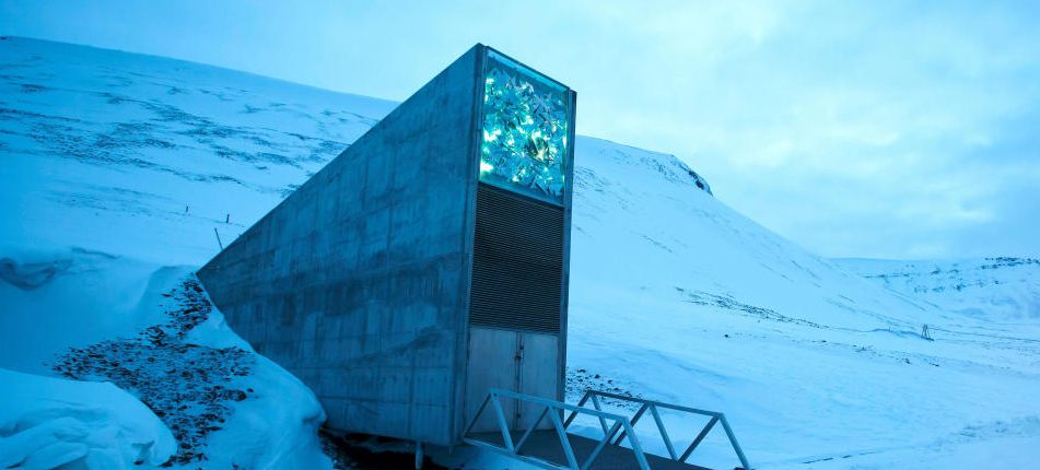 Arctic Seed Vault zawiera 60 000 nasion 