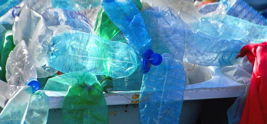 Mutant bakteryjny może rozbić odpady z tworzyw sztucznych w zaledwie kilka godzin 