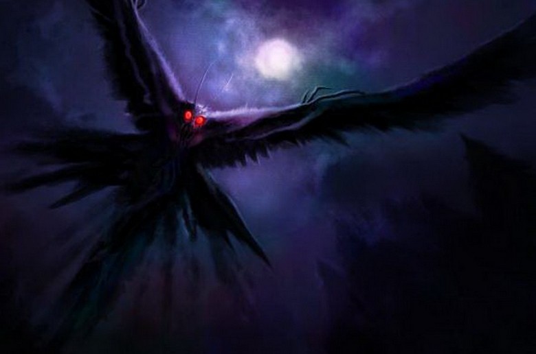 „Moth