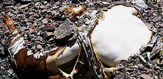 „everestcemetery05-620x301”