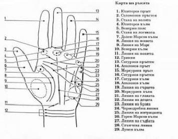 „Chiromancja