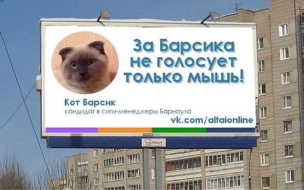 „Burmistrz