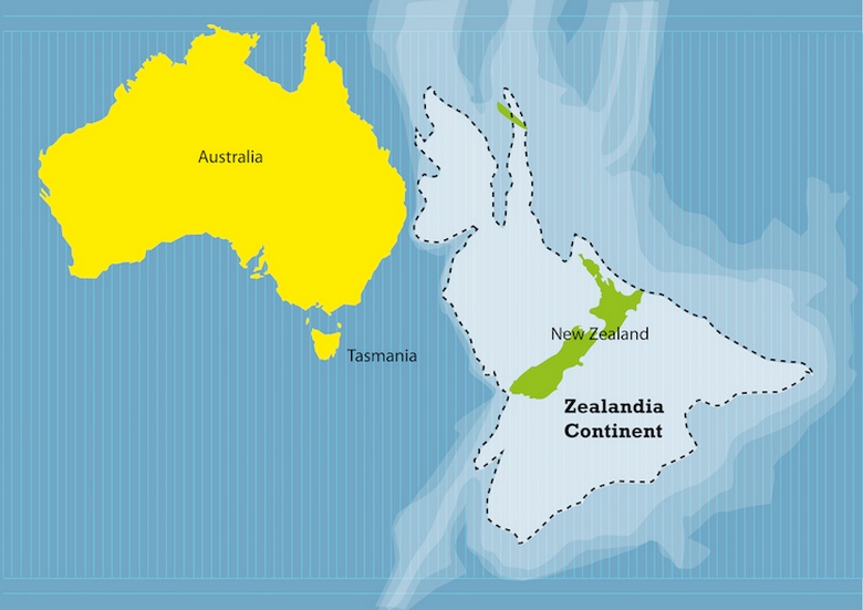 „Znaleziono