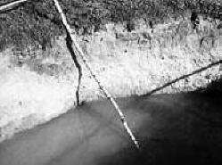 „Ufolog