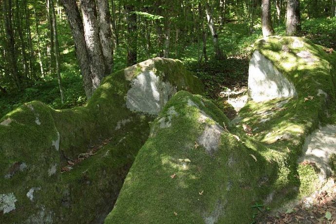 „Skały