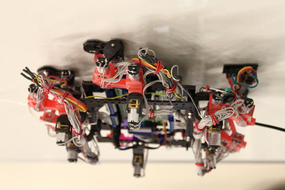 „agile_climber”
