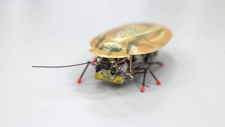 „Robot