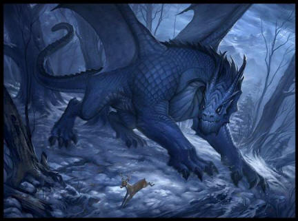 „Północne