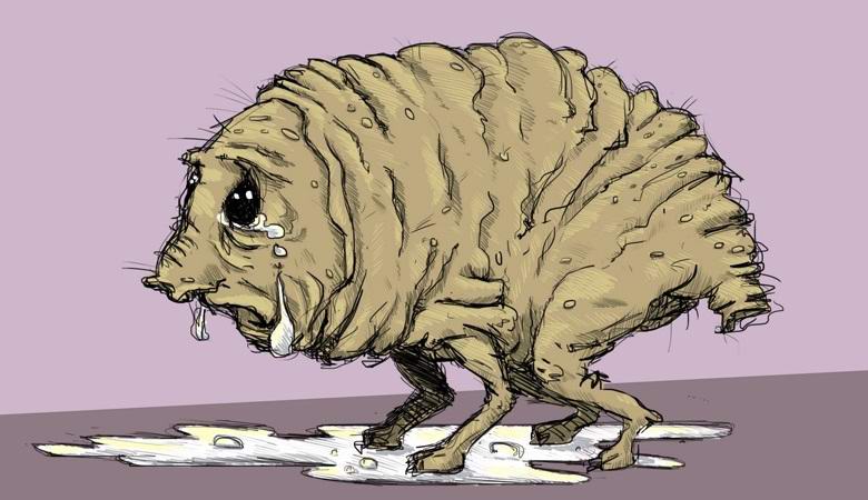 „Squonk
