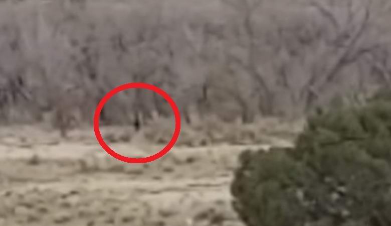 „Bigfoot