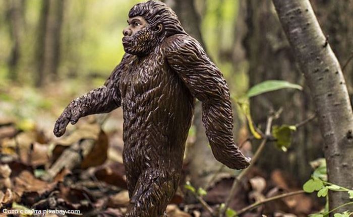 „Bigfoot