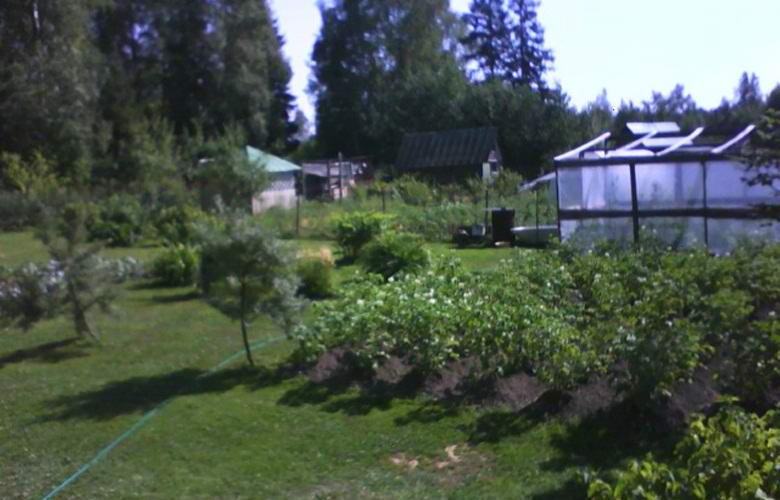„Dziwna
