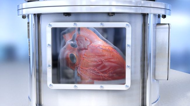 Naukowcy stworzyli działające mikrokopie ludzkich narządów 