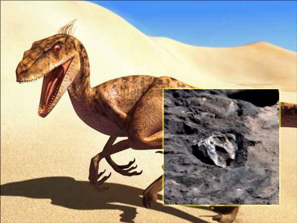 „Ufolog