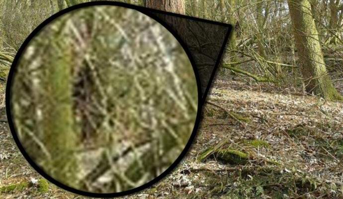 „Bigfoot