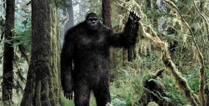 „Bigfoot