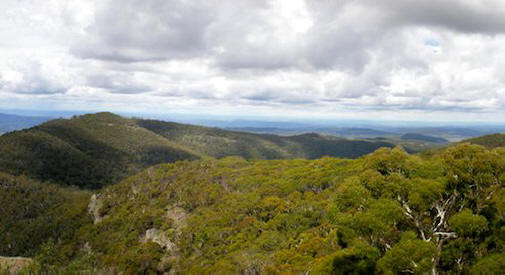 „mount_kaputar.jpg.492x0_q85_crop-smart”