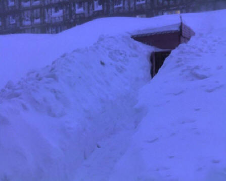 „norilsk19