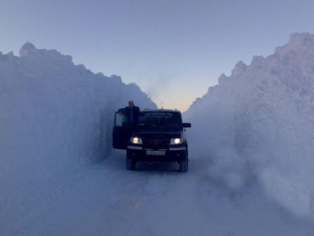 „norilsk17