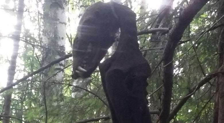 „W