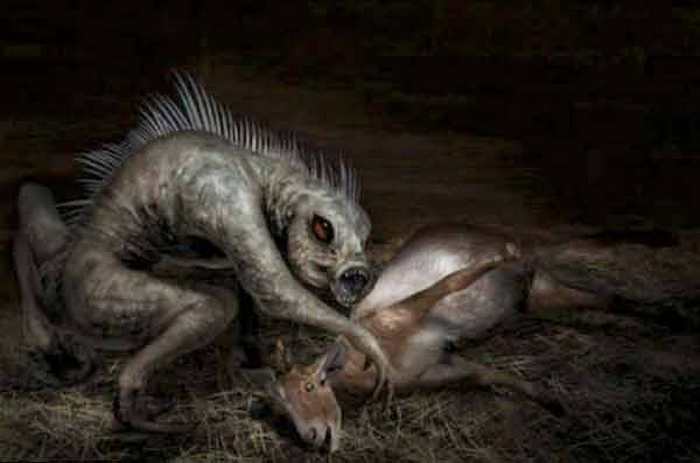 „Chupacabra
