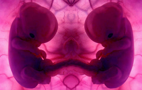 „Human_Cloning_by_DonatoCamino”