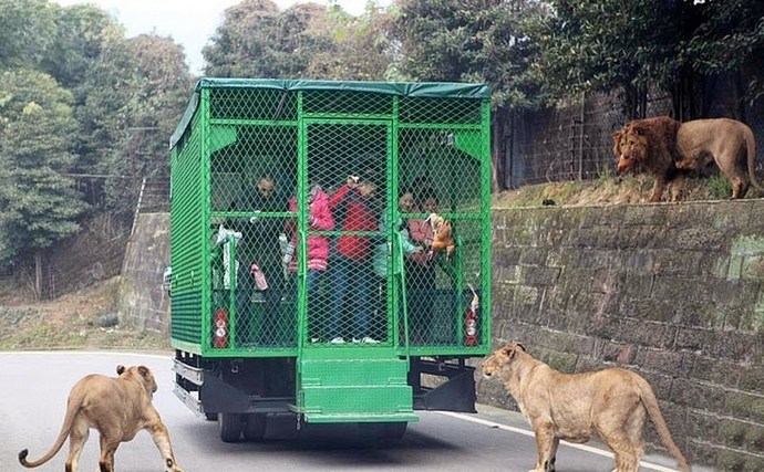 „Zoo